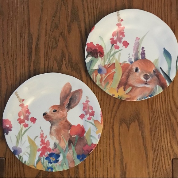 Fig and Fern Other - Two Bunny Rabbit Melamine 9” Plates